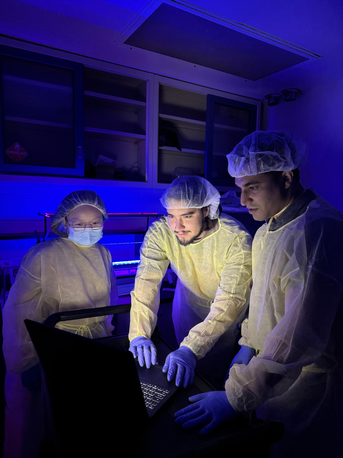 Undergraduate Researcher