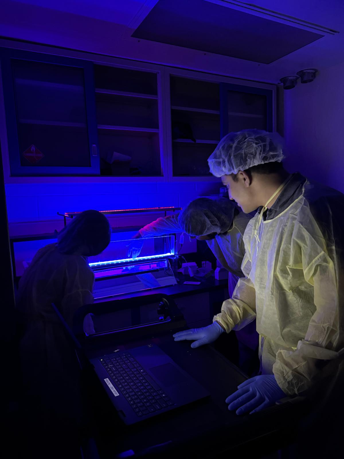 Undergraduate Researcher