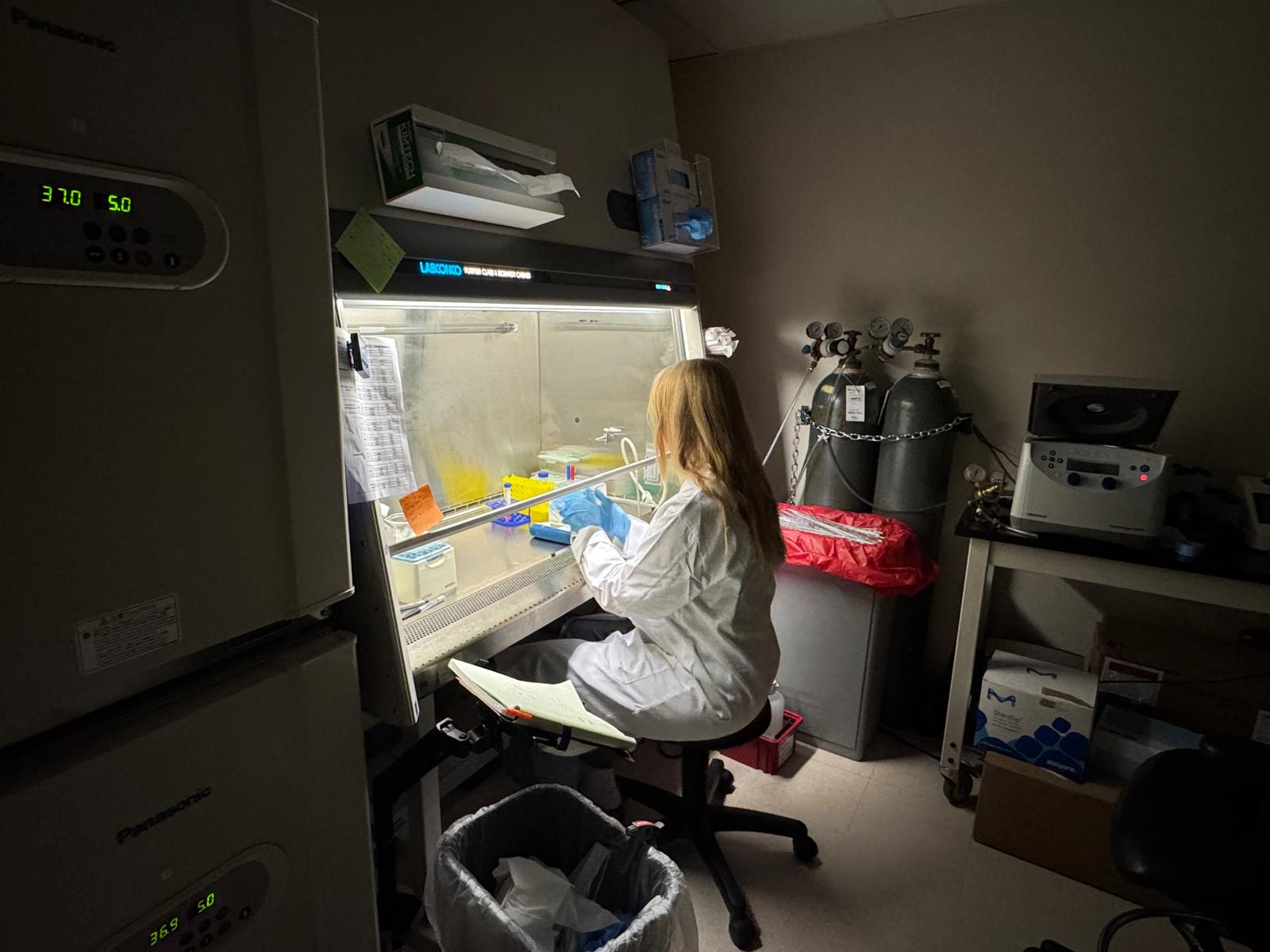 Undergraduate Researcher